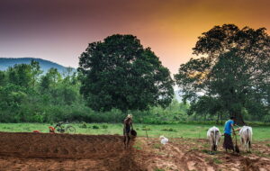 41 guthe makamalabad road